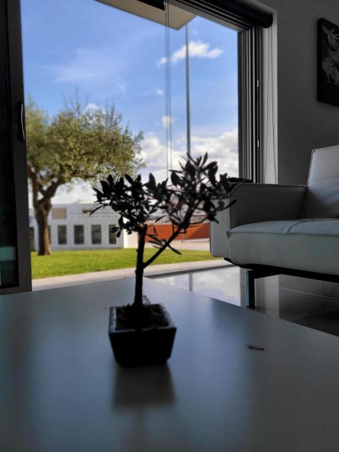 Olive Ap. Apartment Torreira Exterior photo